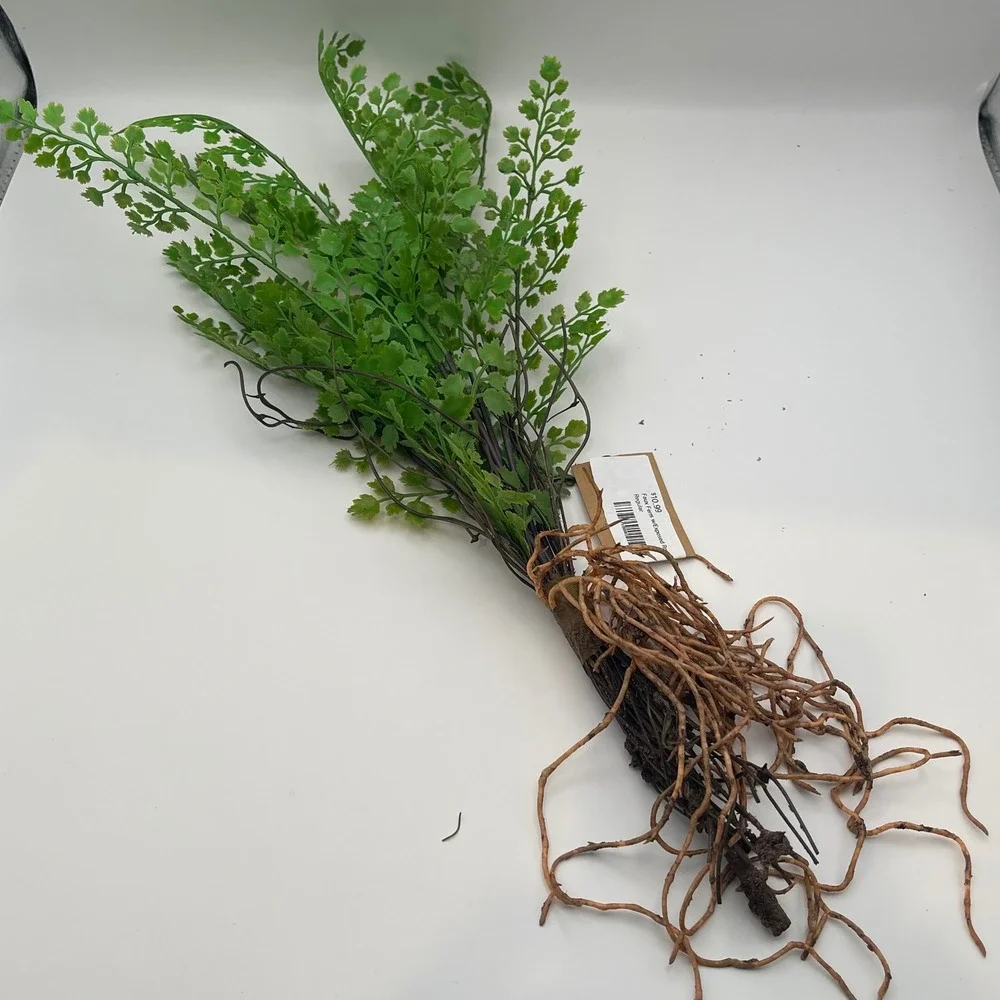Faux Fern Bundle with Exposed Roots Artificial Greenery Botanical Decor 19in